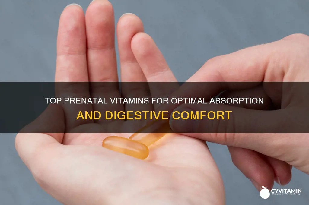 what is the best digested prenatal vitamin