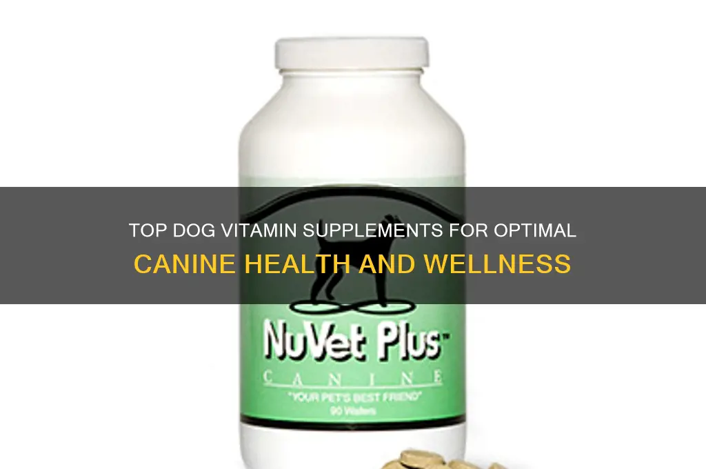 what is the best dog vitamin supplement