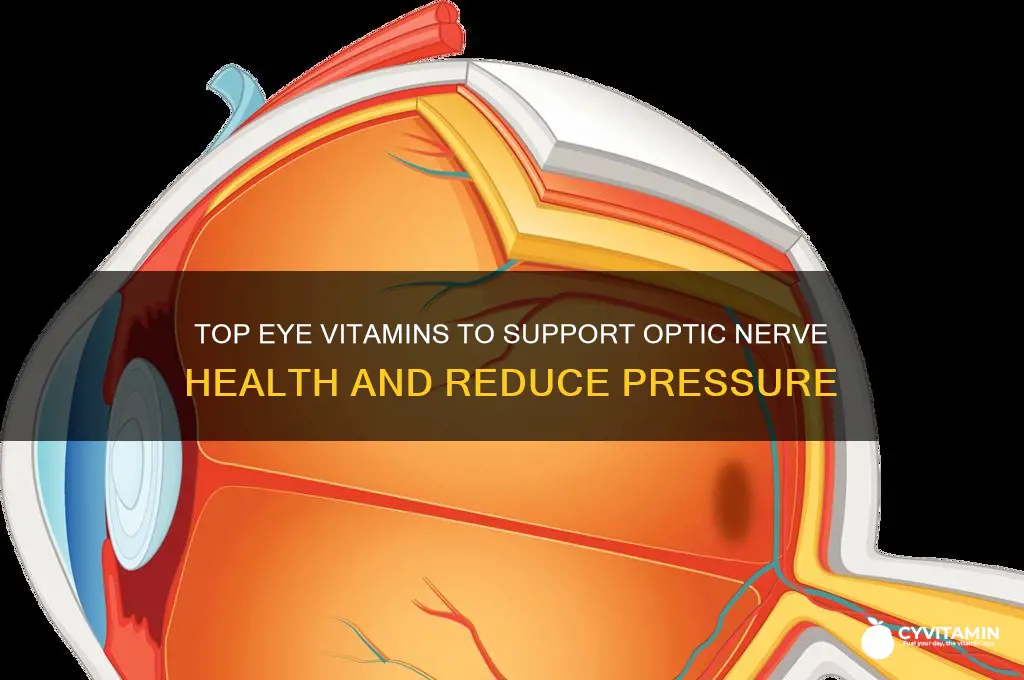 what is the best eye vitamin for optic nerve pressure