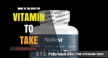 Top Eye Vitamins for Optimal Vision and Eye Health