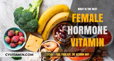 Top Female Hormone Vitamins for Optimal Health and Balance