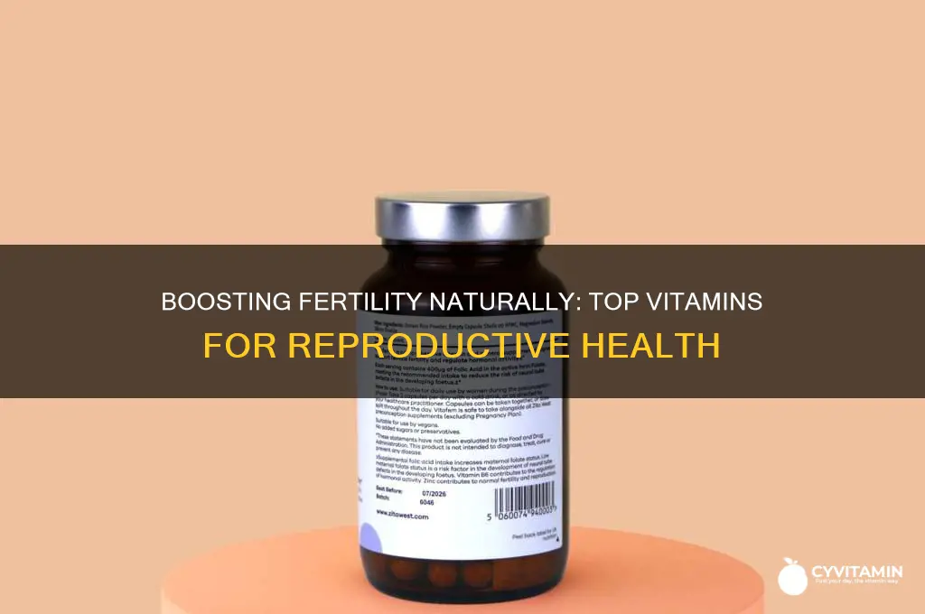 what is the best fertility vitamins
