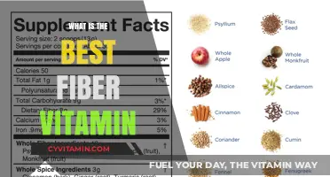 Discover the Top Fiber Vitamin for Optimal Digestive Health