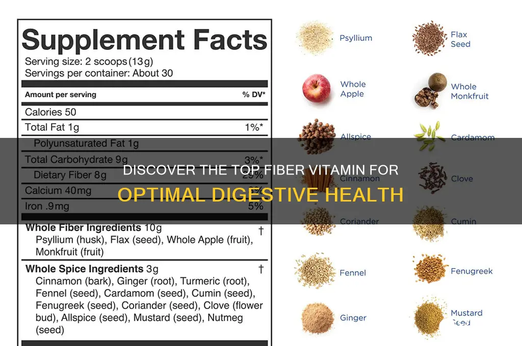 what is the best fiber vitamin