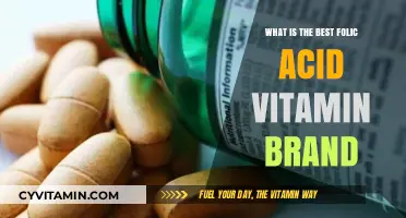 Top Folic Acid Vitamin Brands for Optimal Health and Wellness