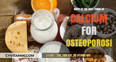 Top Calcium Sources for Osteoporosis: Which Form Strengthens Bones Best?