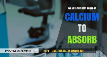 Unlocking Calcium Absorption: The Optimal Form for Maximum Benefits