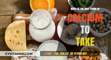 Choosing the Right Calcium Supplement: Best Forms for Optimal Absorption