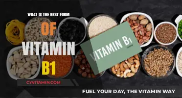 Discover the Optimal Form of Vitamin B1 for Maximum Benefits