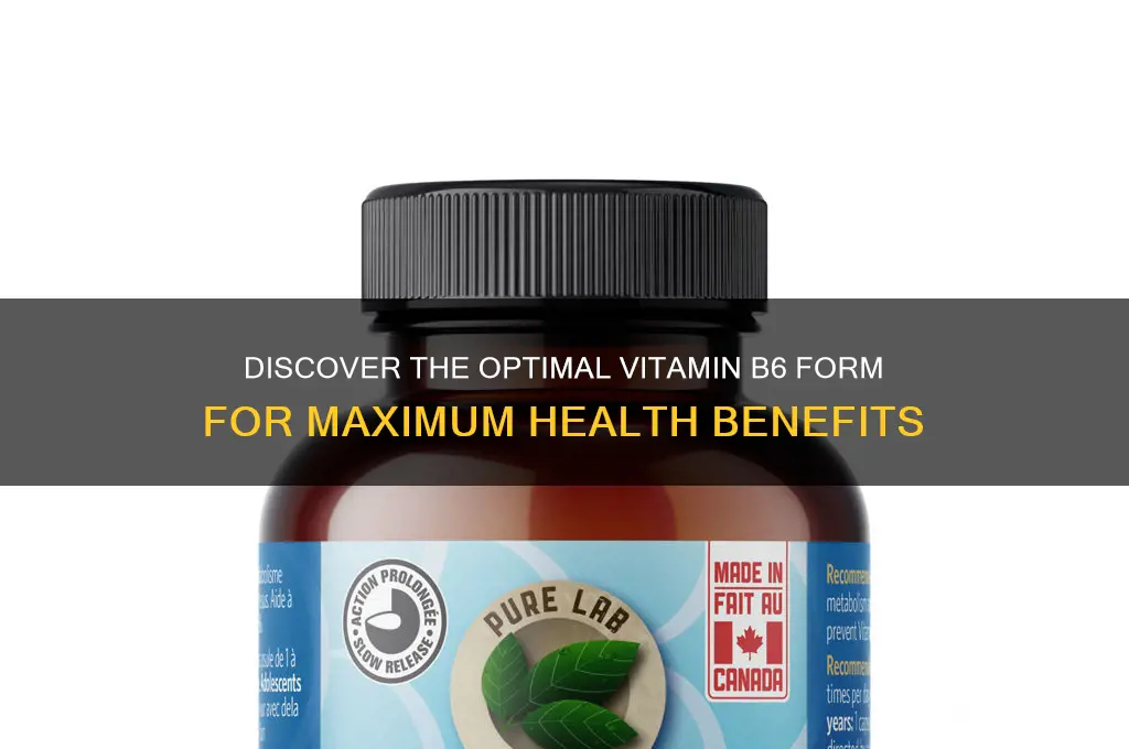what is the best form of vitamin b6