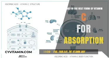 Unlocking Optimal Absorption: The Best Vitamin C Form for Health