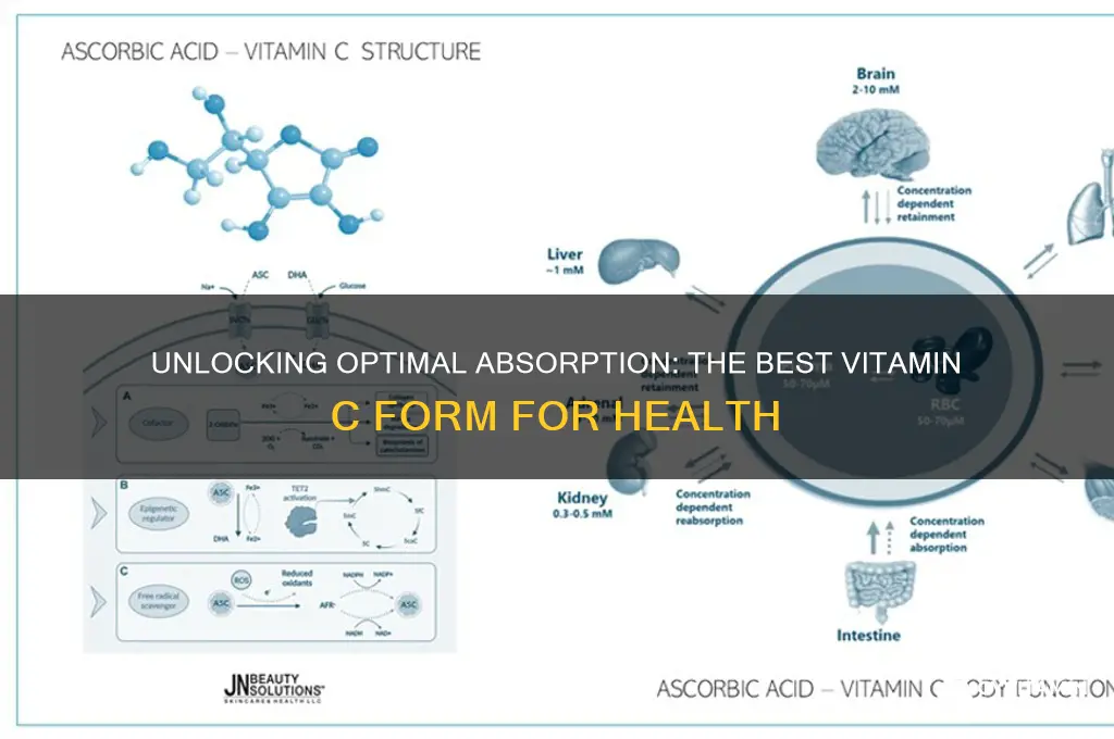 what is the best form of vitamin c for absorption