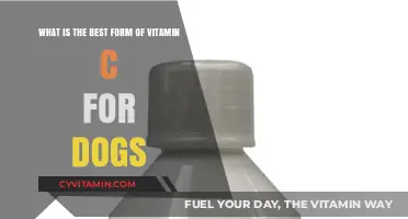 Top Vitamin C Forms for Dogs: Benefits and Best Choices