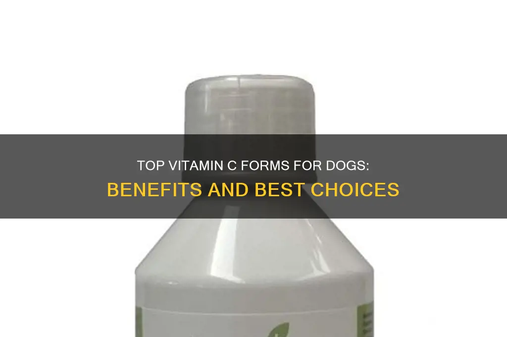 what is the best form of vitamin c for dogs