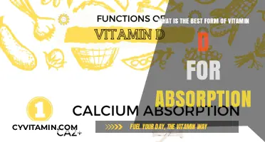 Maximizing Vitamin D Absorption: Which Form Works Best for You?