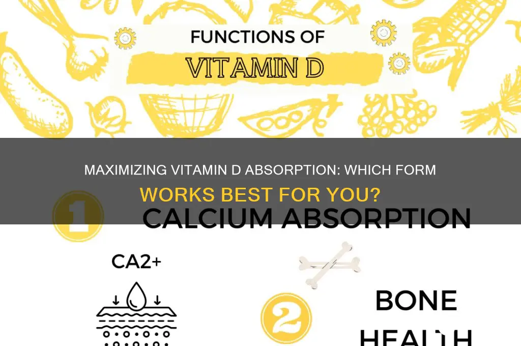 what is the best form of vitamin d for absorption