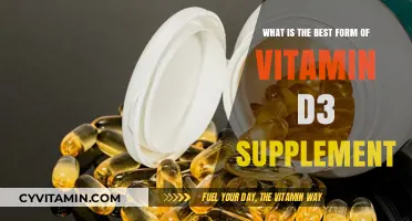Top Vitamin D3 Supplements: Which Form Maximizes Absorption and Benefits?