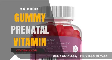 Top Gummy Prenatal Vitamins for a Healthy Pregnancy Journey
