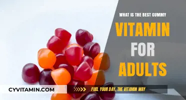Top Adult Gummy Vitamins: Boost Health with Tasty Supplements