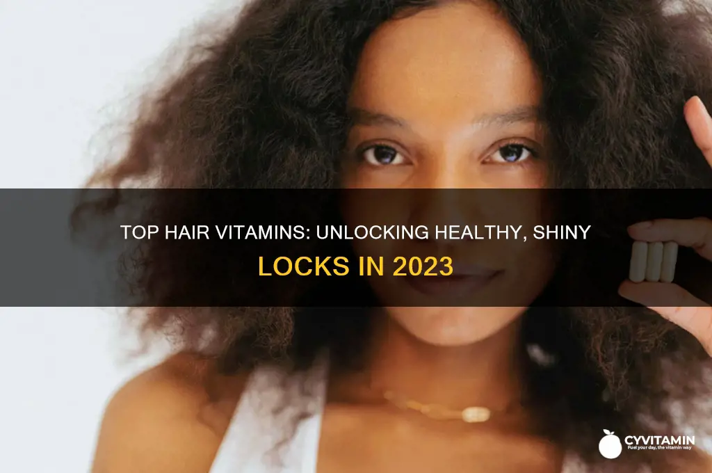 what is the best hair vitamin on the market