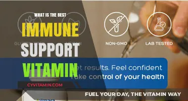 Boost Your Health: Top Immune Support Vitamins Revealed