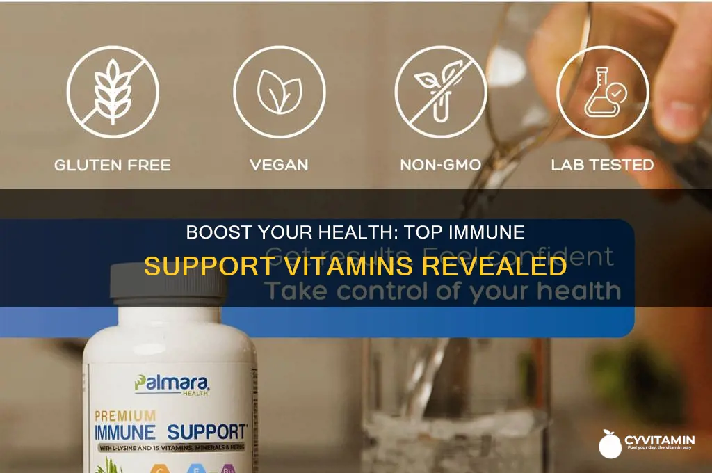 what is the best immune support vitamin