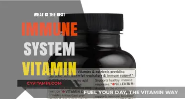 Boost Your Immunity: Discover the Top Vitamin for Optimal Health