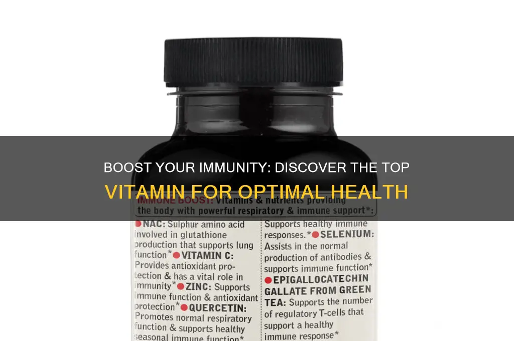 what is the best immune system vitamin