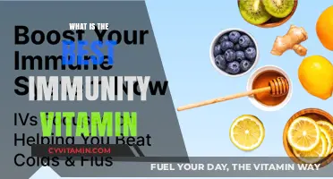 Boost Your Health: Discover the Top Immunity-Enhancing Vitamin