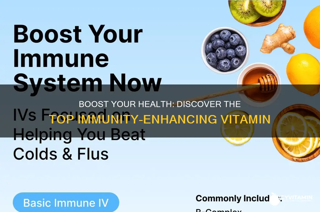 what is the best immunity vitamin