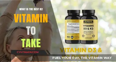 Top Vitamin K2 Supplements: Choosing the Best for Optimal Health