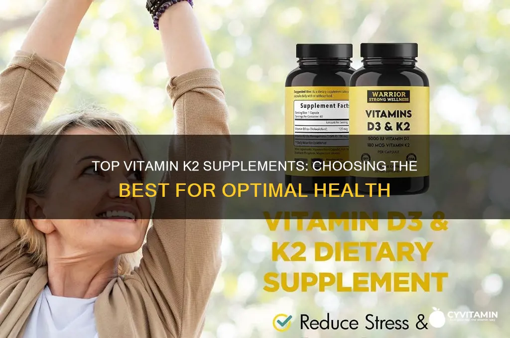 what is the best k2 vitamin to take