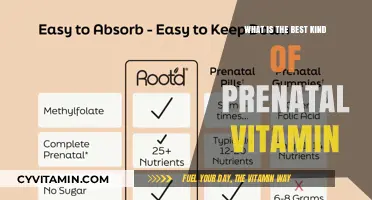 Choosing the Best Prenatal Vitamin for a Healthy Pregnancy Journey