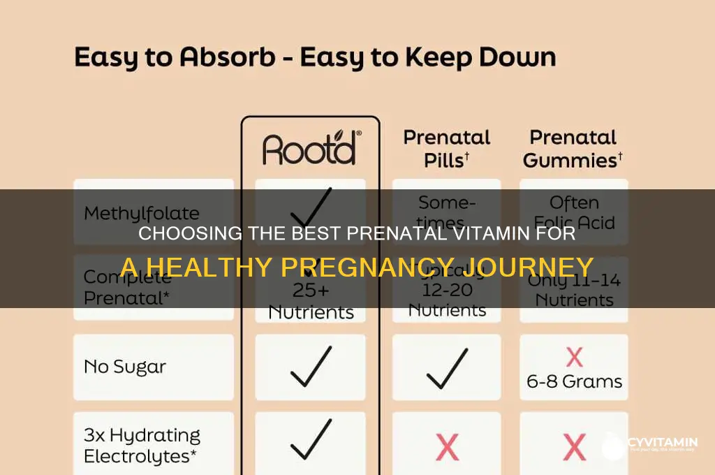 what is the best kind of prenatal vitamin