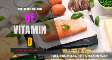 Choosing the Right Vitamin D: Types, Benefits, and Best Sources