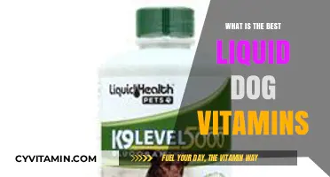 Top Liquid Dog Vitamins for Optimal Canine Health and Wellness