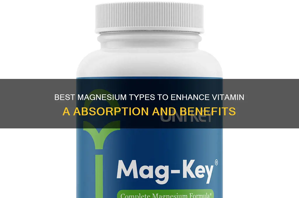 what is the best magnesium to take with vitamin a