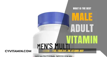 Top Male Adult Vitamins: Essential Nutrients for Optimal Health & Wellness