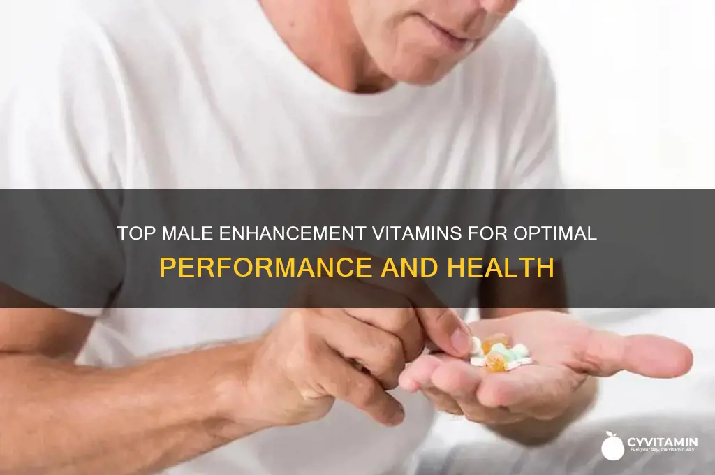 what is the best male enhancement vitamins
