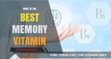 Boost Your Brain Health: Discover the Top Memory-Enhancing Vitamin