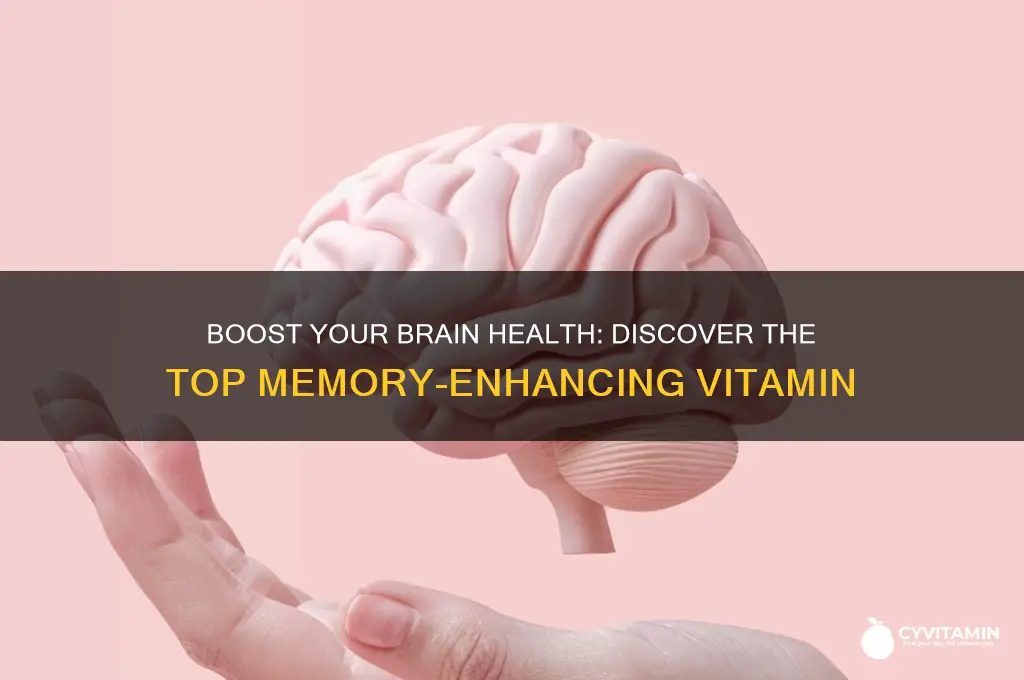 what is the best memory vitamin