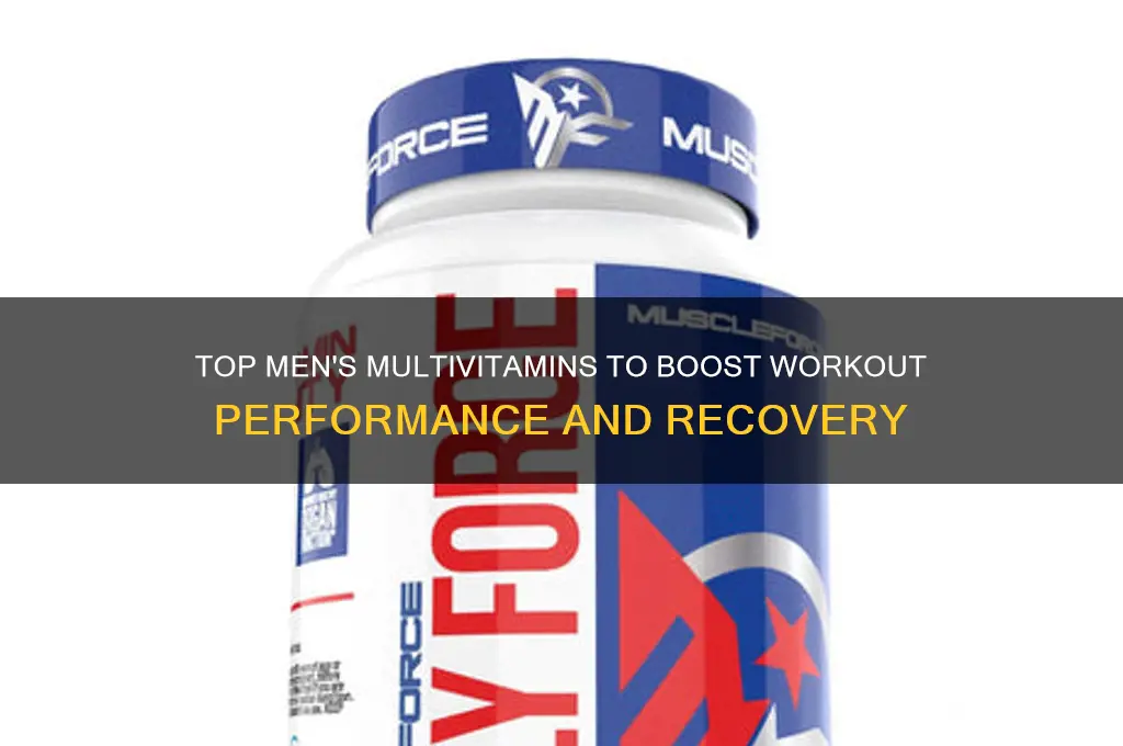 what is the best mens multi vitamin for working out
