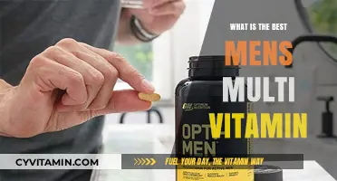 Top Men's Multivitamins: Essential Nutrients for Optimal Health & Wellness