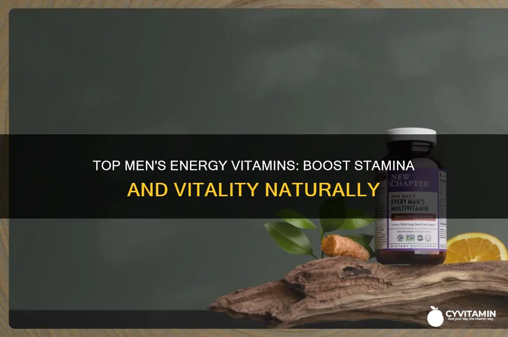 what is the best mens vitamin for energy