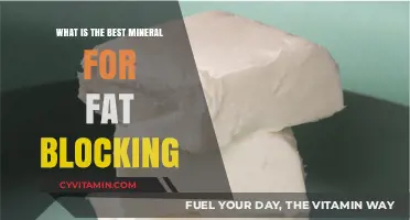 Discover the Ultimate Mineral for Effective Fat Blocking Naturally