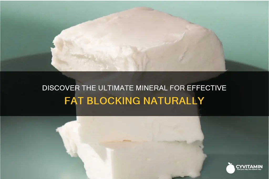 what is the best mineral for fat blocking