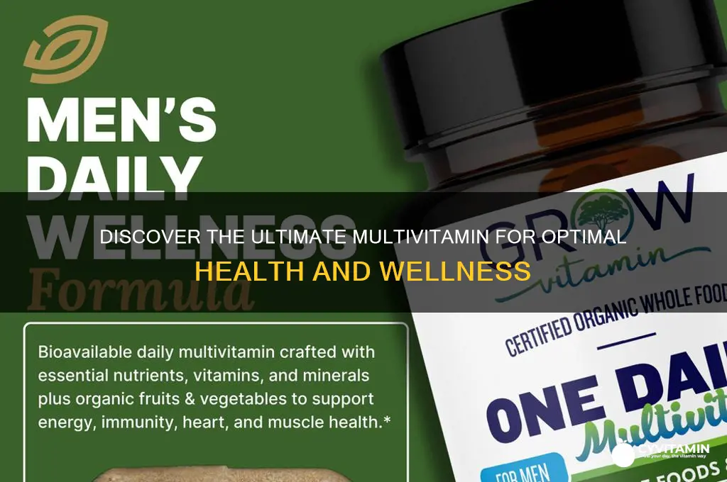what is the best multi vitamin