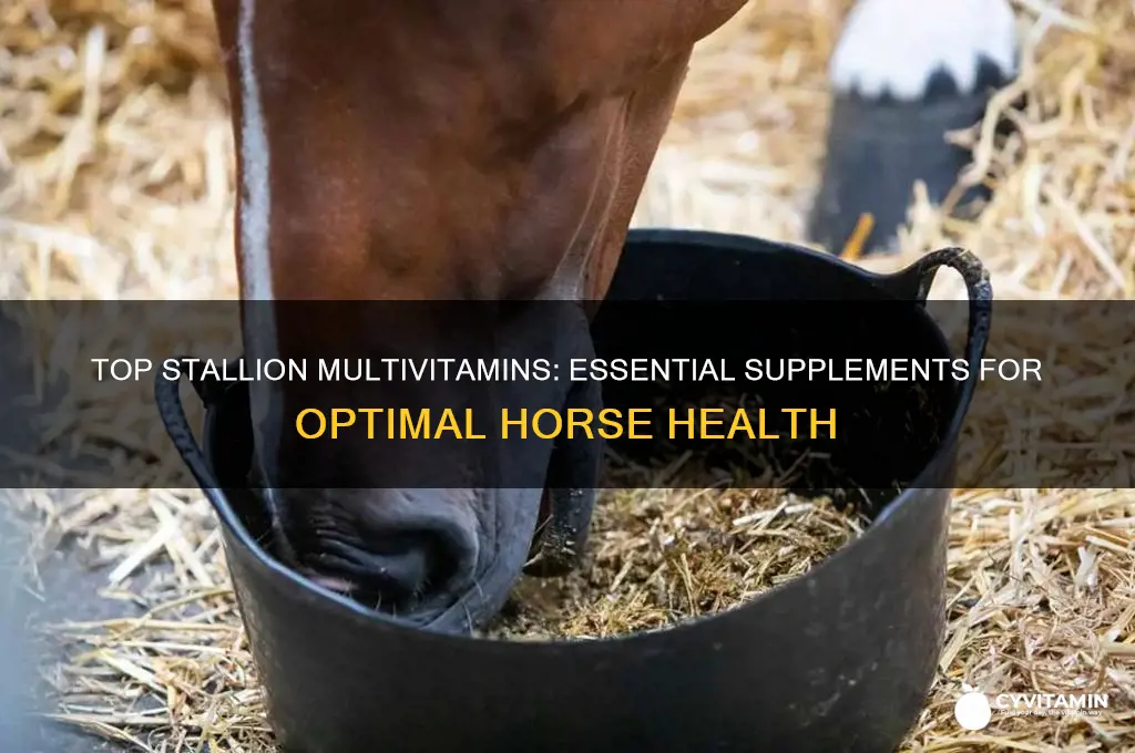 what is the best multi-vitamins supplement for a stallion