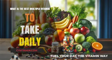 Top Daily Multivitamins: Essential Picks for Optimal Health & Wellness