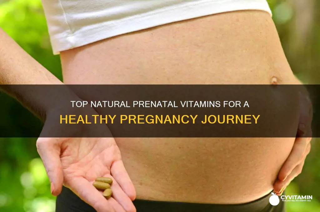 what is the best natural prenatal vitamin